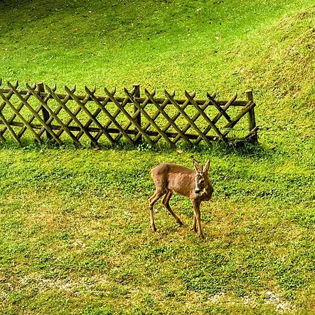 Art In Waldfrieden Apartamento Semmering Exterior foto
