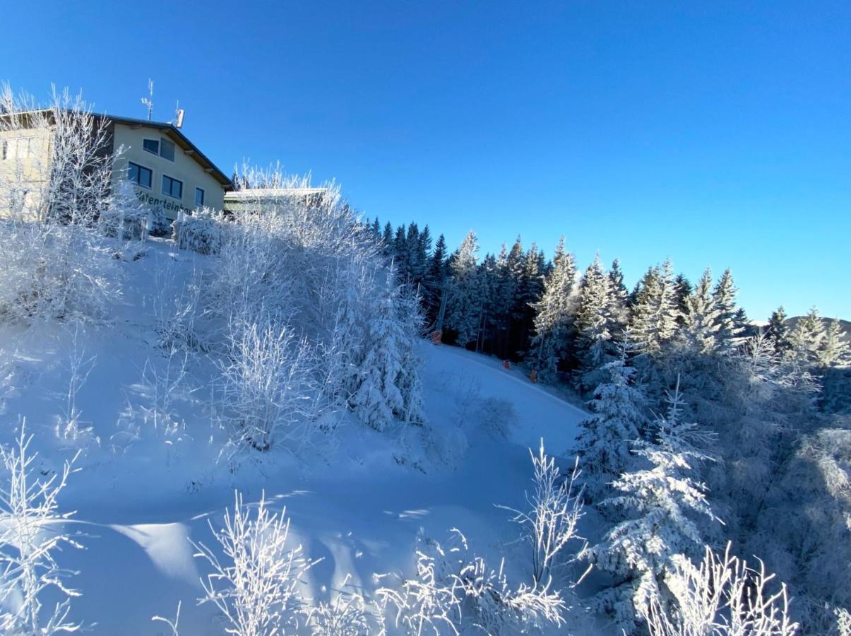 Art In Waldfrieden Apartamento Semmering Exterior foto