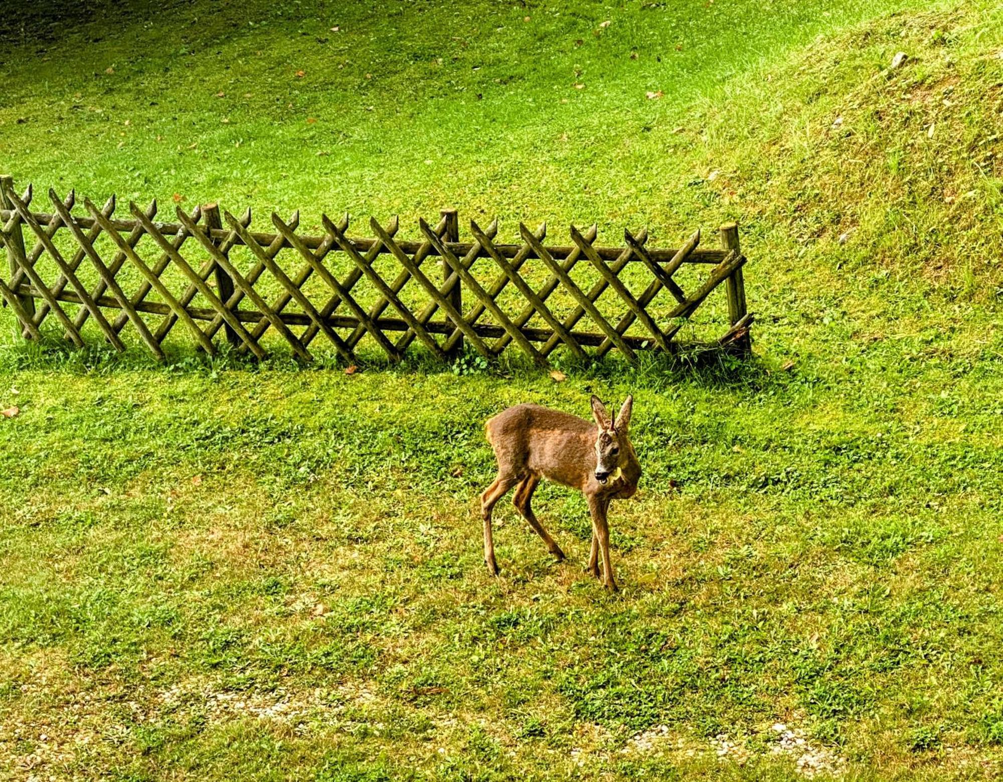 Art In Waldfrieden Apartamento Semmering Exterior foto