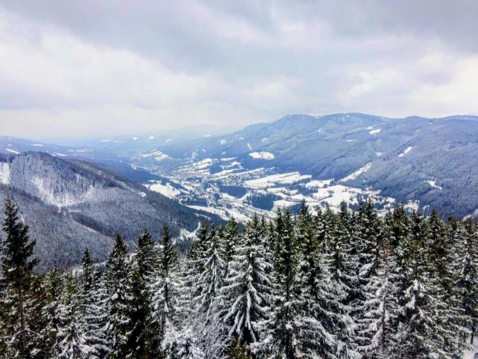 Art In Waldfrieden Apartamento Semmering Exterior foto